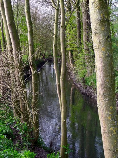 Baisieux 30/03/2014